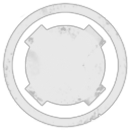 Jester's Shield Corp logo