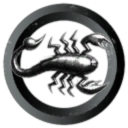 Solo Runners Guild
