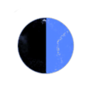 The Tal Shiar