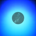 WHBLU Executive