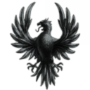 Land under white wings