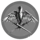 Vanguard's Void