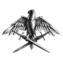 INFINITY LLC