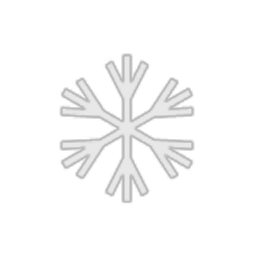 United Skiers Team logo