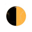 Nonspecific Dynamics