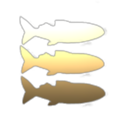 Shark Trading Corporation