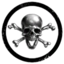 117 Skull Battlegroup