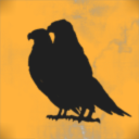 Crazy Birds