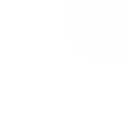 Orcinus Orca.