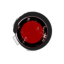 Code Geass Corp.