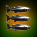 Trading Company LODYR CLUB
