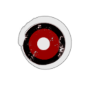 RubiconX Holdings