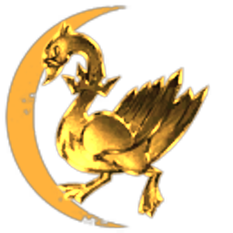 Voituristan Co