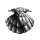 Ural Oyster Logistics