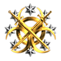 Space Security Council