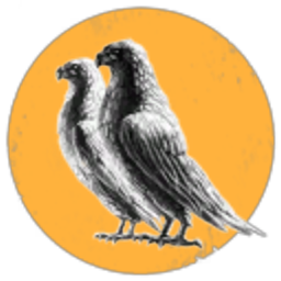 Scalet Enka tax evasion