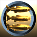 Fotoship Corporation
