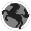 EveGuru Holdings