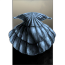 Silent Bald Underwater Soy Z's