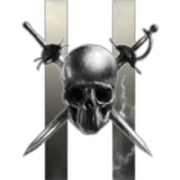 HIDDEN RAIDER
