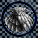 LP WALLET SHELLCORP