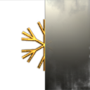 Hidden Snowflake
