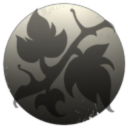 Rogue Eternity