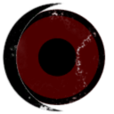 UNION SOVIETICA