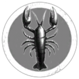 Dutch Duo Copperman Challenge