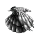 KypPa Corp