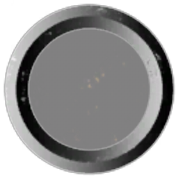 Slow Space Response Force logo