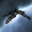 Raptor Raptor