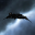 Falcon Falcon