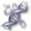 Phenod's DNA