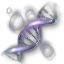 Kyan Magdesh's DNA