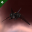 'Integrated' Berserker 'Integrated' Berserker