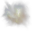 Fullerite-C32 Fullerite-C32