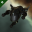 Federation Navy Hammerhead Federation Navy Hammerhead
