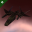 Republic Fleet Valkyrie Republic Fleet Valkyrie