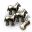 Livestock Livestock