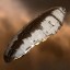 Amarr Providence Freighter