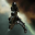 Imicus Imicus